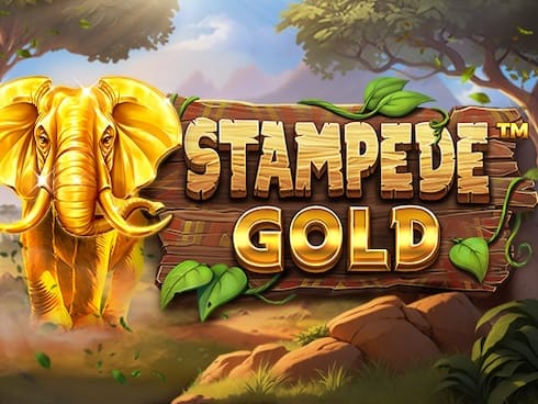 Stampede Gold screenshot