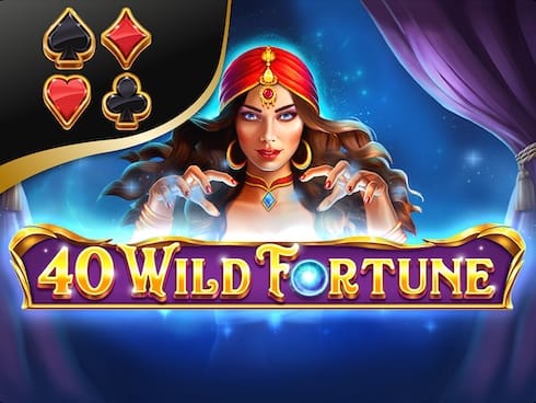 Wild Fortune screenshot